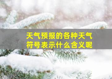 天气预报的各种天气符号表示什么含义呢