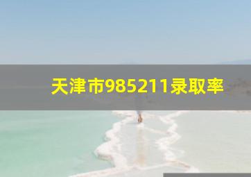 天津市985211录取率