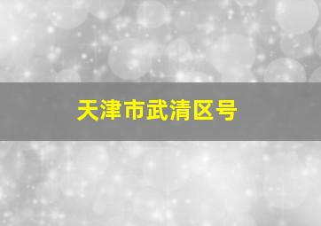 天津市武清区号