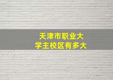 天津市职业大学主校区有多大