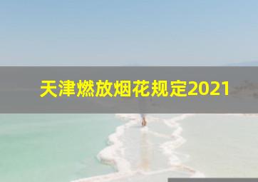 天津燃放烟花规定2021