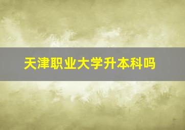 天津职业大学升本科吗