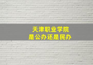 天津职业学院是公办还是民办