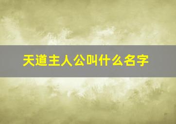 天道主人公叫什么名字