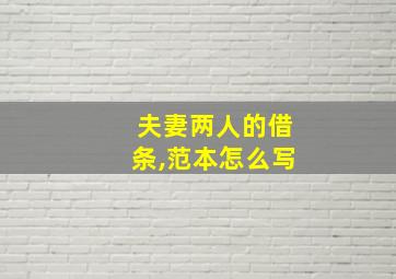 夫妻两人的借条,范本怎么写