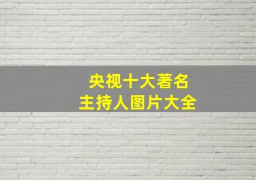 央视十大著名主持人图片大全