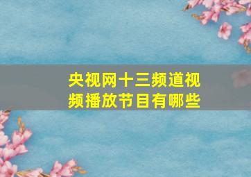 央视网十三频道视频播放节目有哪些