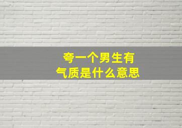 夸一个男生有气质是什么意思