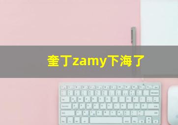 奎丁zamy下海了