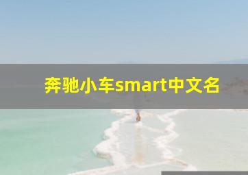 奔驰小车smart中文名