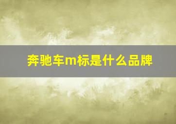 奔驰车m标是什么品牌