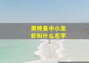 奥特曼中小龙虾叫什么名字