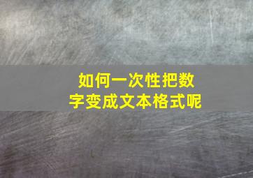 如何一次性把数字变成文本格式呢