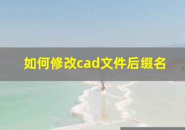 如何修改cad文件后缀名