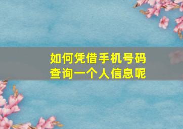 如何凭借手机号码查询一个人信息呢