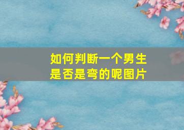 如何判断一个男生是否是弯的呢图片