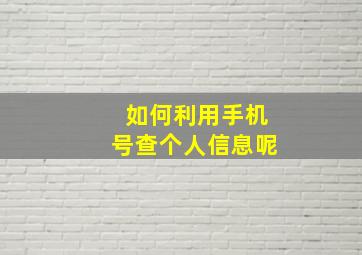 如何利用手机号查个人信息呢