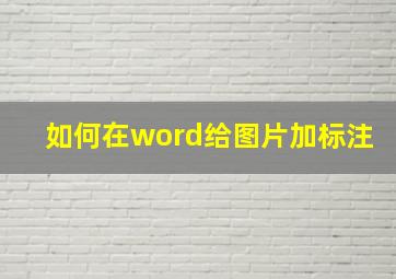 如何在word给图片加标注