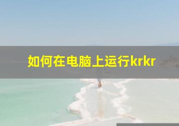 如何在电脑上运行krkr