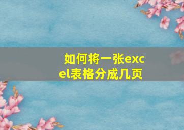 如何将一张excel表格分成几页