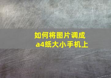 如何将图片调成a4纸大小手机上