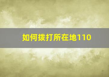 如何拨打所在地110