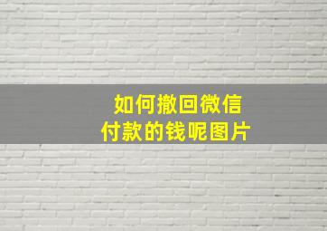 如何撤回微信付款的钱呢图片