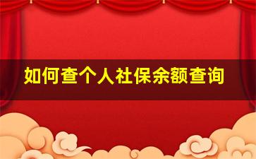 如何查个人社保余额查询