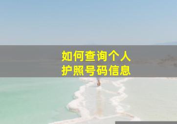 如何查询个人护照号码信息