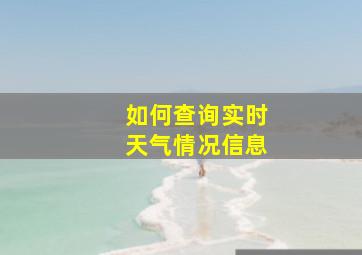 如何查询实时天气情况信息