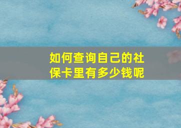 如何查询自己的社保卡里有多少钱呢