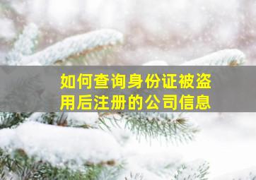 如何查询身份证被盗用后注册的公司信息