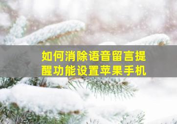 如何消除语音留言提醒功能设置苹果手机