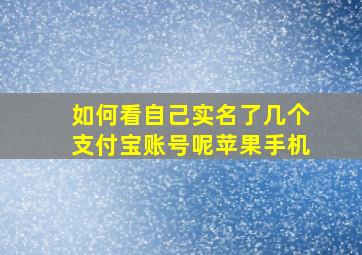 如何看自己实名了几个支付宝账号呢苹果手机