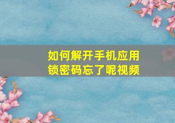 如何解开手机应用锁密码忘了呢视频