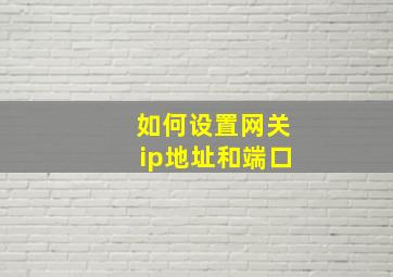 如何设置网关ip地址和端口