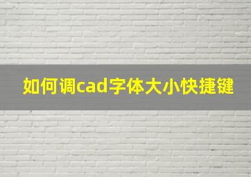 如何调cad字体大小快捷键