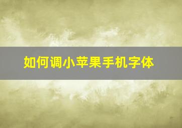 如何调小苹果手机字体