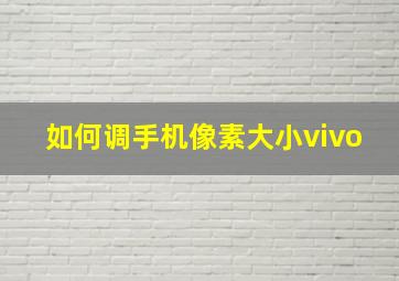 如何调手机像素大小vivo