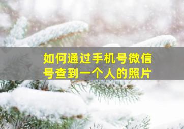 如何通过手机号微信号查到一个人的照片