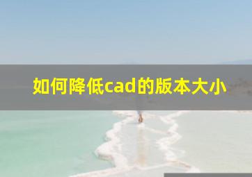 如何降低cad的版本大小