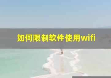 如何限制软件使用wifi