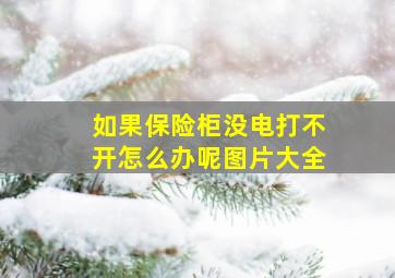 如果保险柜没电打不开怎么办呢图片大全