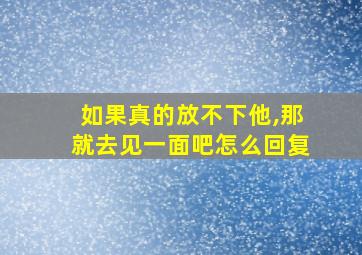 如果真的放不下他,那就去见一面吧怎么回复