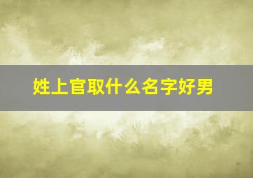 姓上官取什么名字好男