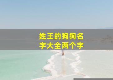 姓王的狗狗名字大全两个字