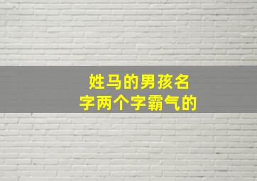 姓马的男孩名字两个字霸气的