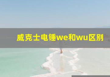 威克士电锤we和wu区别