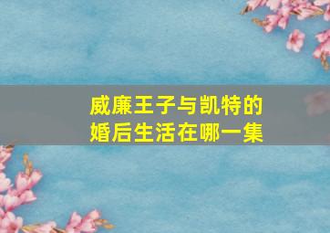 威廉王子与凯特的婚后生活在哪一集