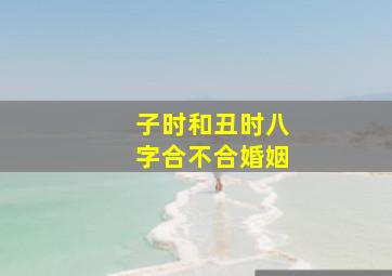 子时和丑时八字合不合婚姻